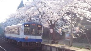 人気のお花見スポット「能登鹿島駅」は駅愛称名「能登さくら駅」【穴水町】
