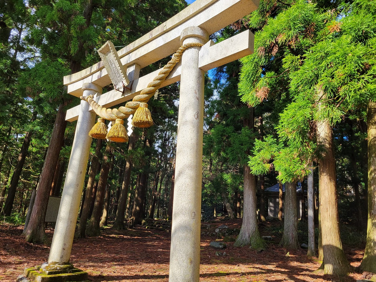 石動山にある伊須流岐比古（いするぎひこ）神社は平安時代から名を残す由緒ある神社【中能登町】