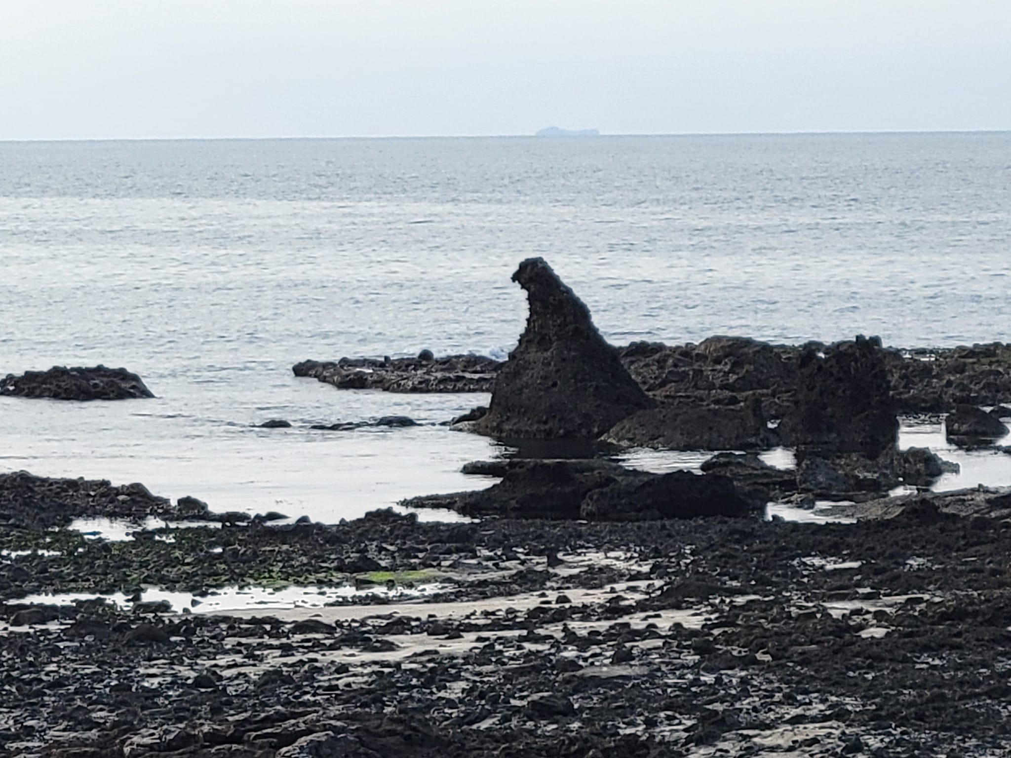 奥能登の小さな名所！日本海の荒波で自然形成された奇岩「ゴジラ岩」【珠洲市】