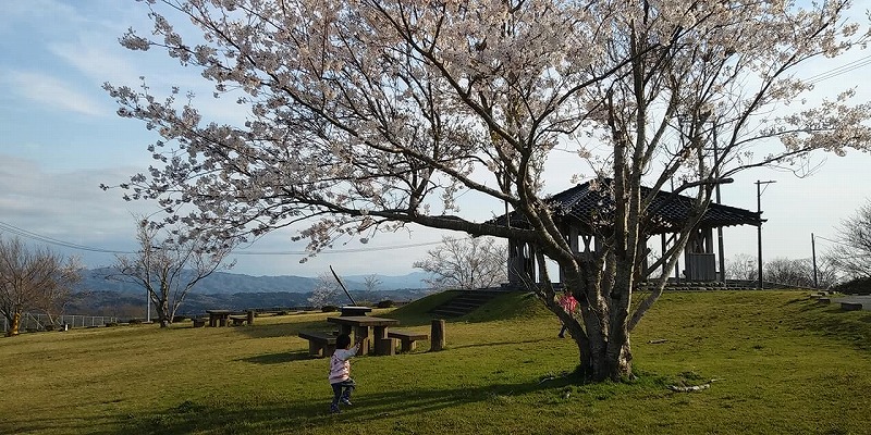 桜の名所とパノラマ絶景！眉丈が丘休憩所【中能登町】